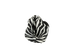 Oversized Zebra Pouch, side view